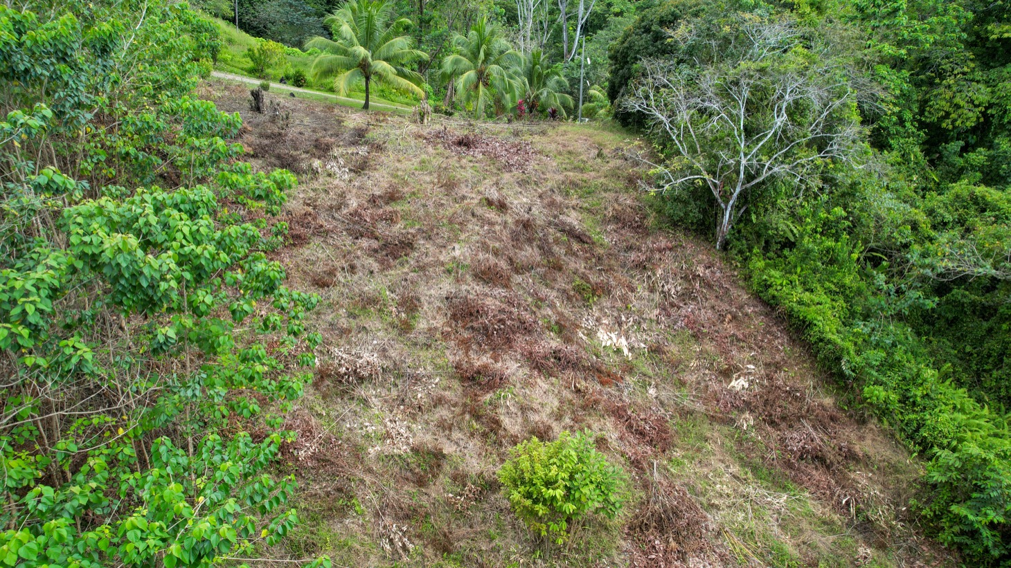 Ocean - Mountain View Lot for Sale in Ojochal, Costa Rica  selected