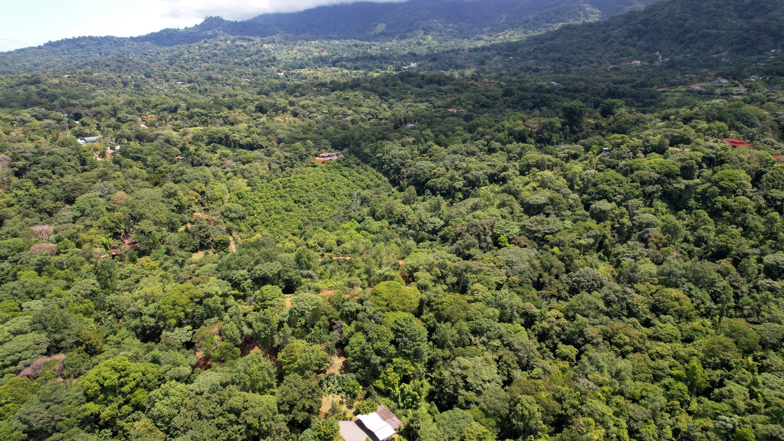 Premium 9.3-Hectare Farm for Sale in Ojochal, Costa Rica selected