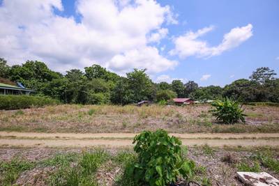 Flat Buildable Lot in Central Ojochal with Mountain Views image 5