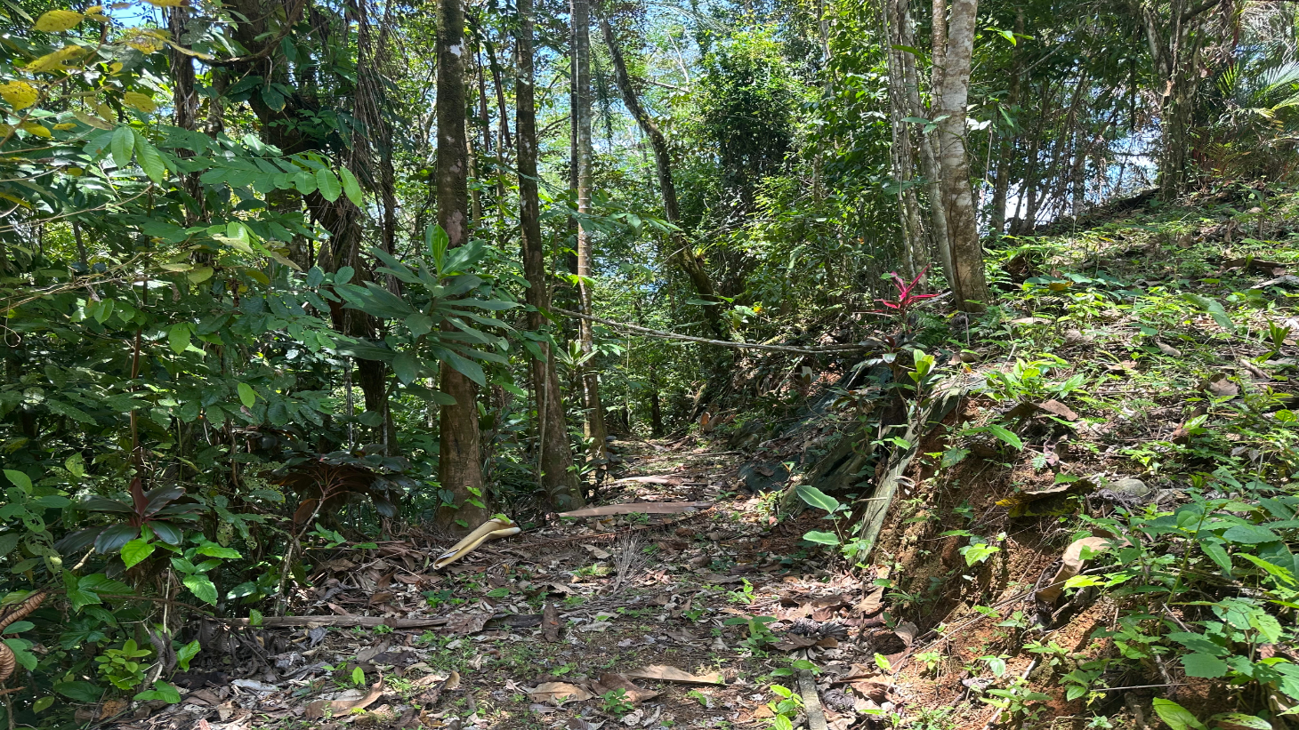 Ocean View Estate Lot with Private Waterfall – Uvita selected