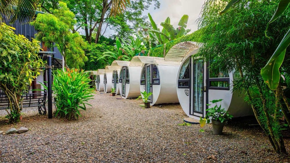 Turnkey Jungle Hostel with 16 Beds, Pool & Strong Income Potential – Steps from Marino Ballena National Park selected