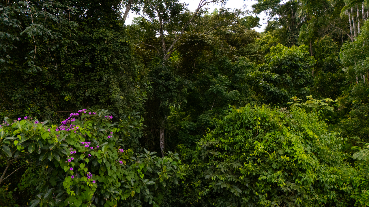 Where the Journey Begins | Private Jungle Estate at Nauyaca Waterfalls selected