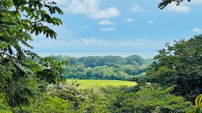 Affordable Resort Style Ocean View Home image 2