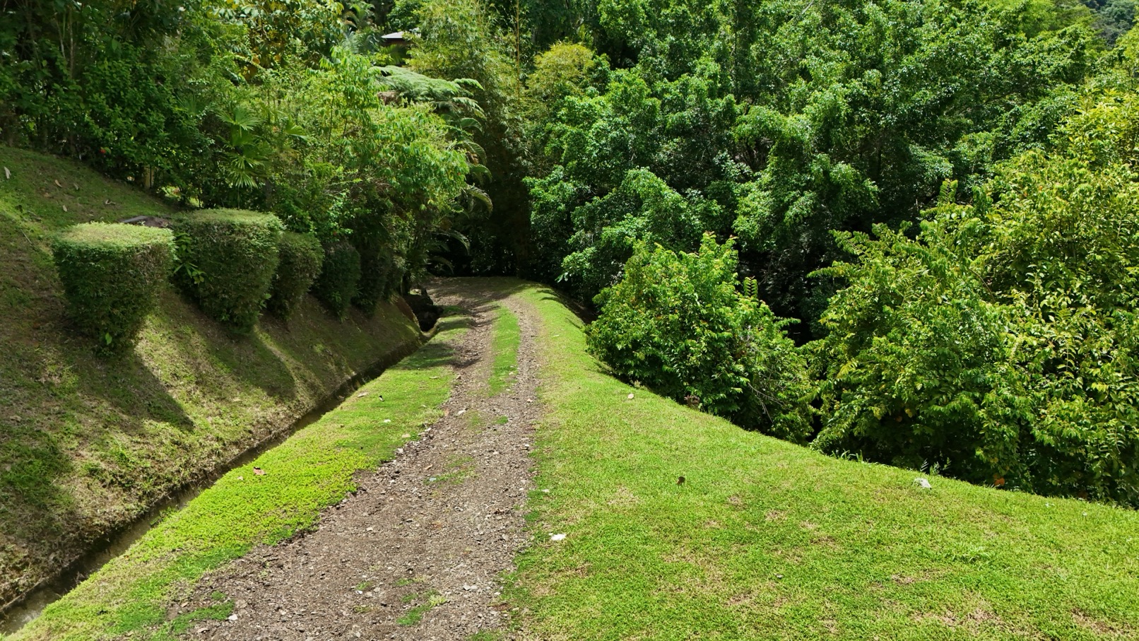 Expansive Oceanview Estate Lot in Uvita selected