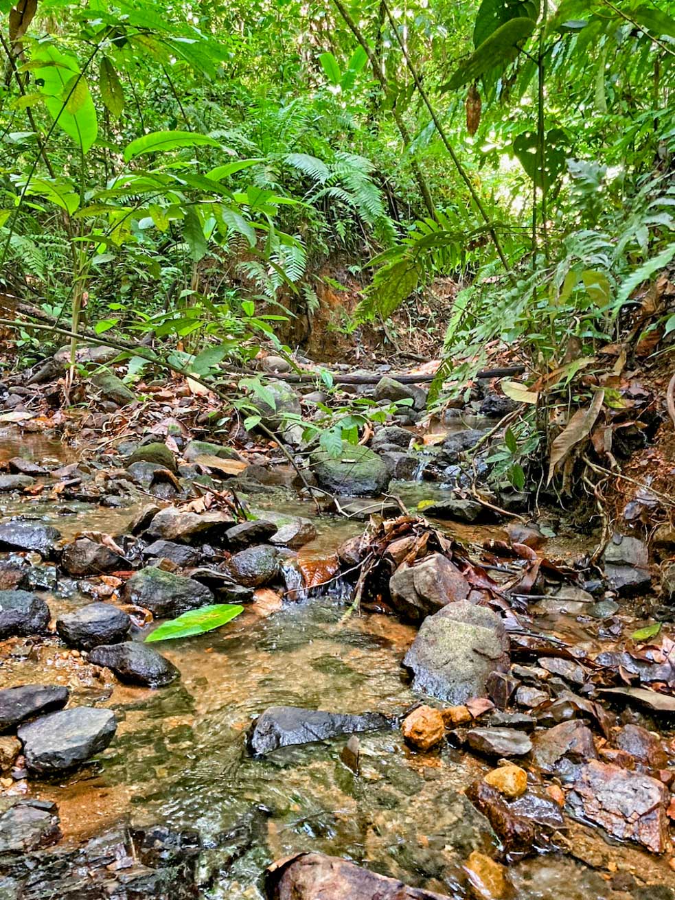 Ocean and Mountain View Retreat with Private River and Expansion Potential in Ojochal selected