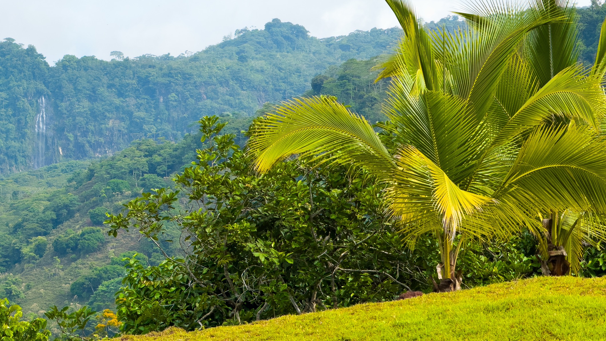 Ocean View Development Property with Waterfall Vista — 14.83 Acres in San Luis de Morete, Near Uvita selected