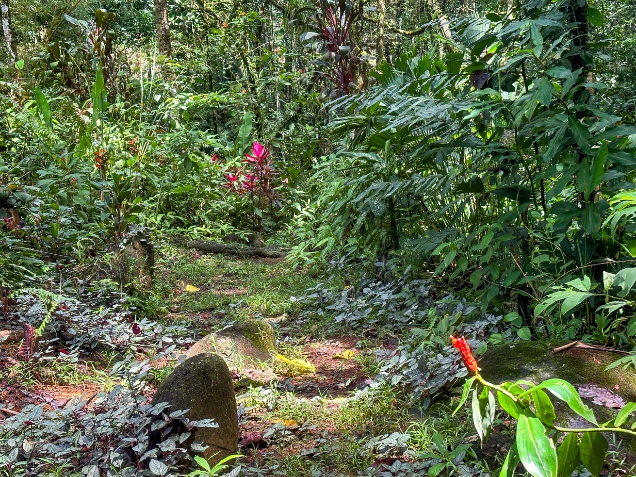 Jungle Sanctuary with Income-Generating Casitas, Creek, Pool & Ultimate Privacy in Ojochal selected