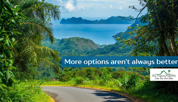 Why Working With One Buyer’s Agent in Costa Rica Gets You Everything You Want (And why trying to work with everyone usually leaves you disappointed)