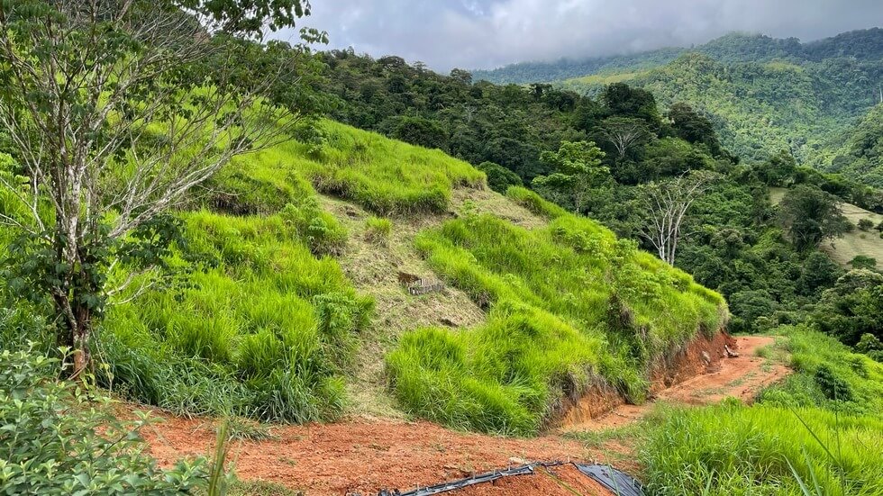145 Acres With Swimming Holes, Waterfalls And Ocean Views selected