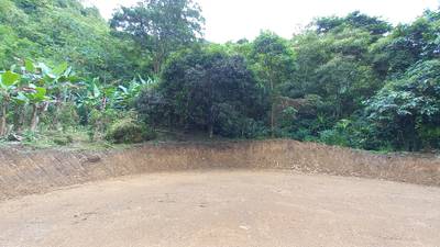 Mountain View Home Site with Seasonal Waterfall and Mature Fruit Trees image 5