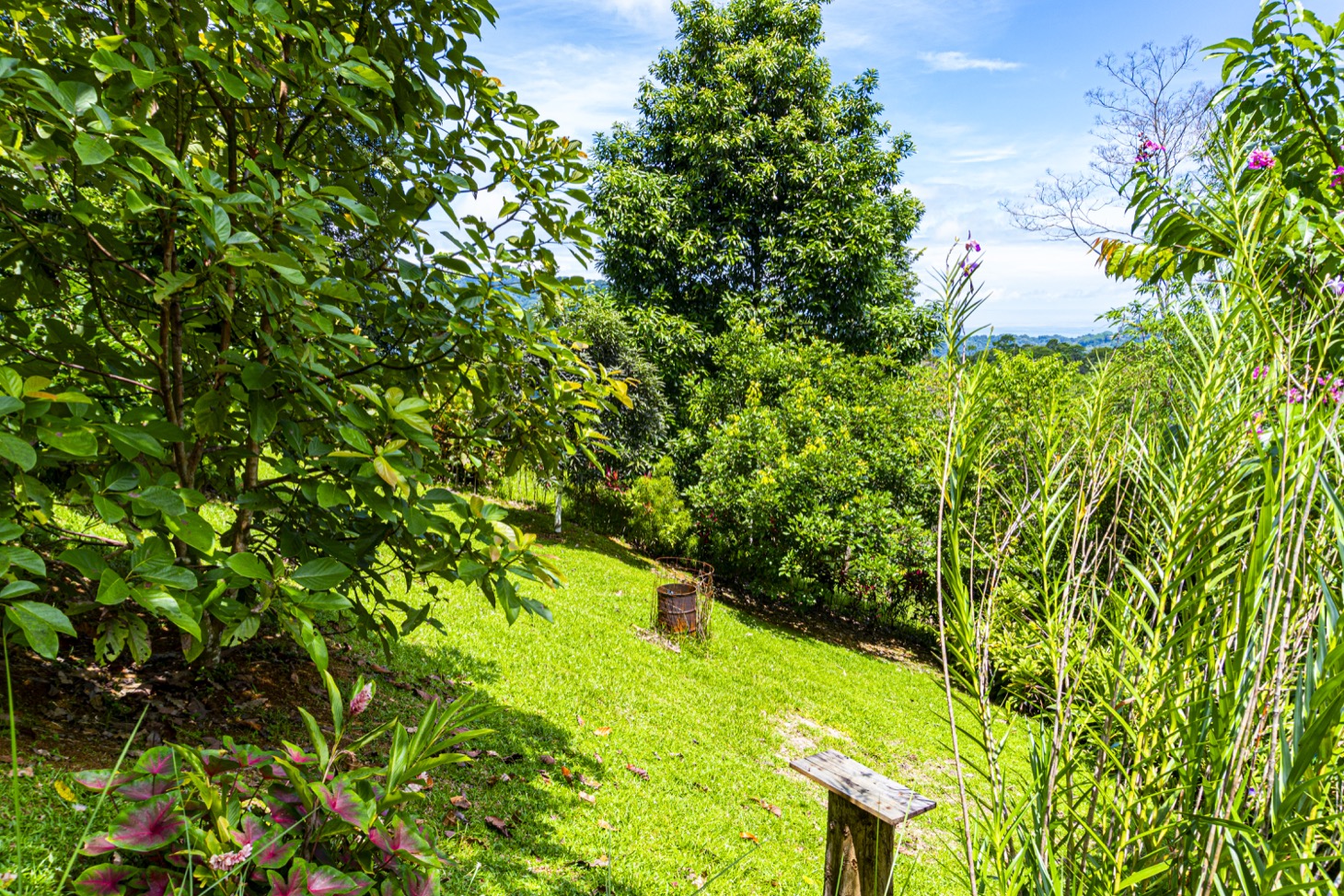 Move-In Ready Ocean View Home Surrounded by Nature selected