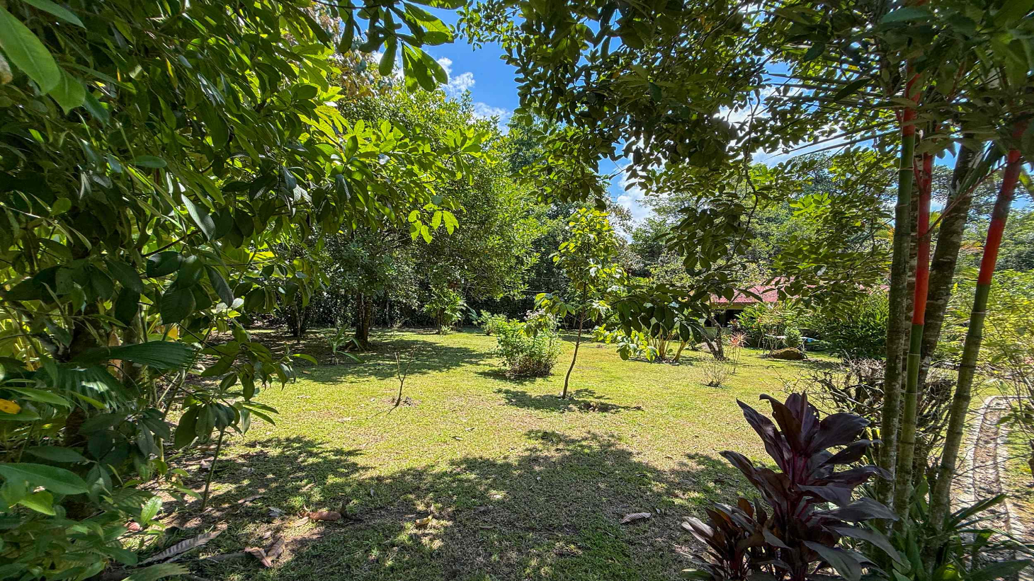 Gorgeous Jungle Hotel with 11 Beds including Owner/Manager Unit, Sparkling Pool & River Setting in Ojochal Costa Rica selected