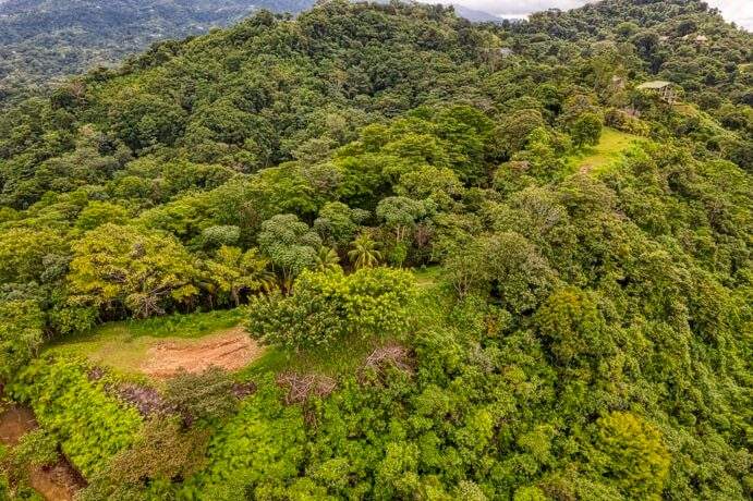 development-farm-in-coronado-costa-rica