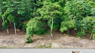 Prime Lots for Sale in Tawal, Osa – Excellent Location Near Cortes and Ojochal image 4