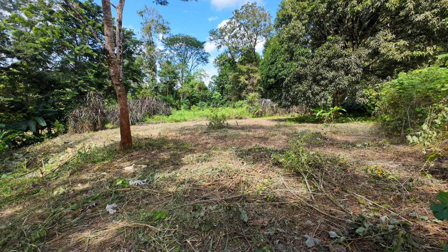 Riverfront Property for Sale in Ojochal, Costa Rica – Nearly 1 Hectare of Flat, Buildable Land selected