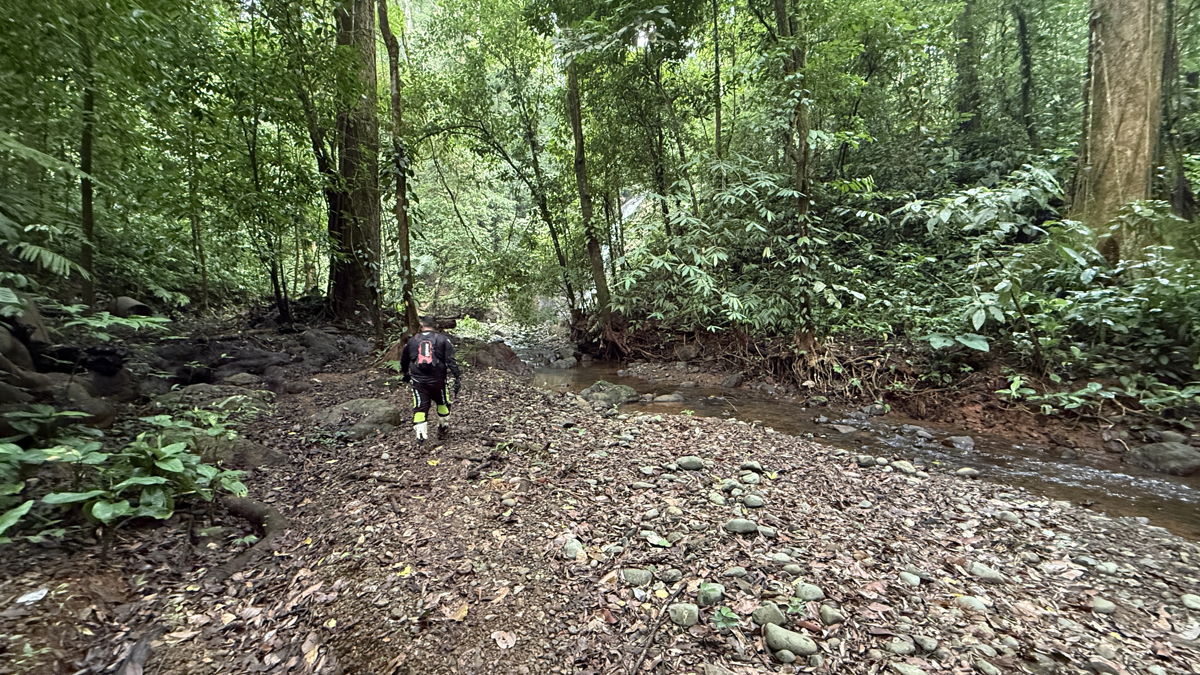 A Living Jungle Sanctuary on the River — 86 Hectares in Sabalo, Costa Rica selected