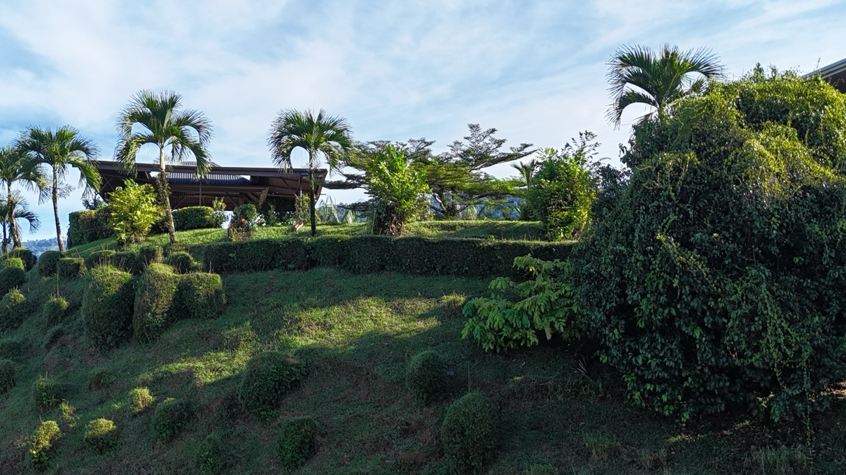 Ocean View Homes and Apartment Near Uvita Town Center selected