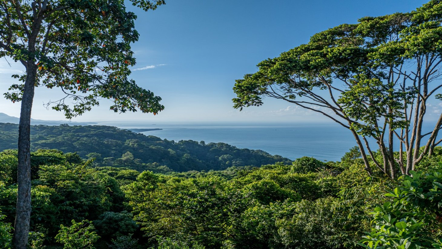 2 ACRES – 2 Bedroom Whales Tale Ocean View Home In Costa Verde Estates Gated Community selected