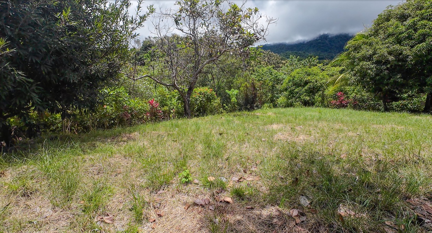 Stunning 16 acre Ocean View Property San Buenas, Costa Rica  selected