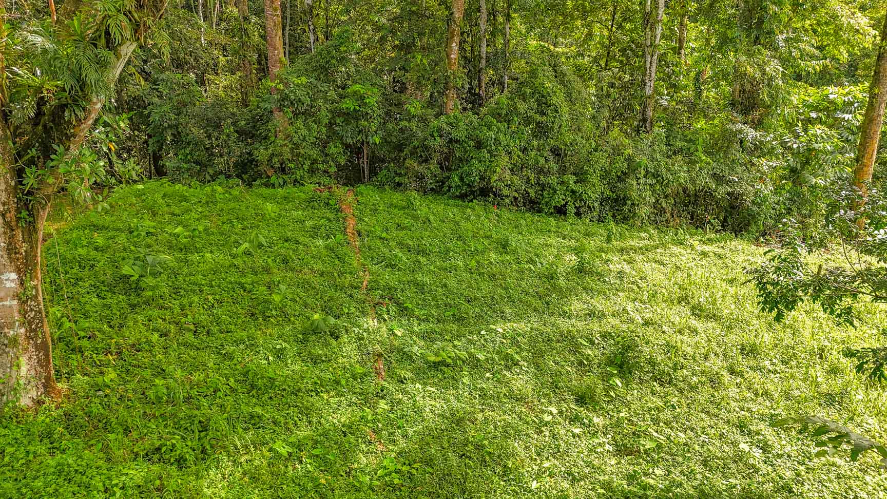 Private Jungle-Border Lot in Ojochal – Ready to Build, Gated Community, River Access selected