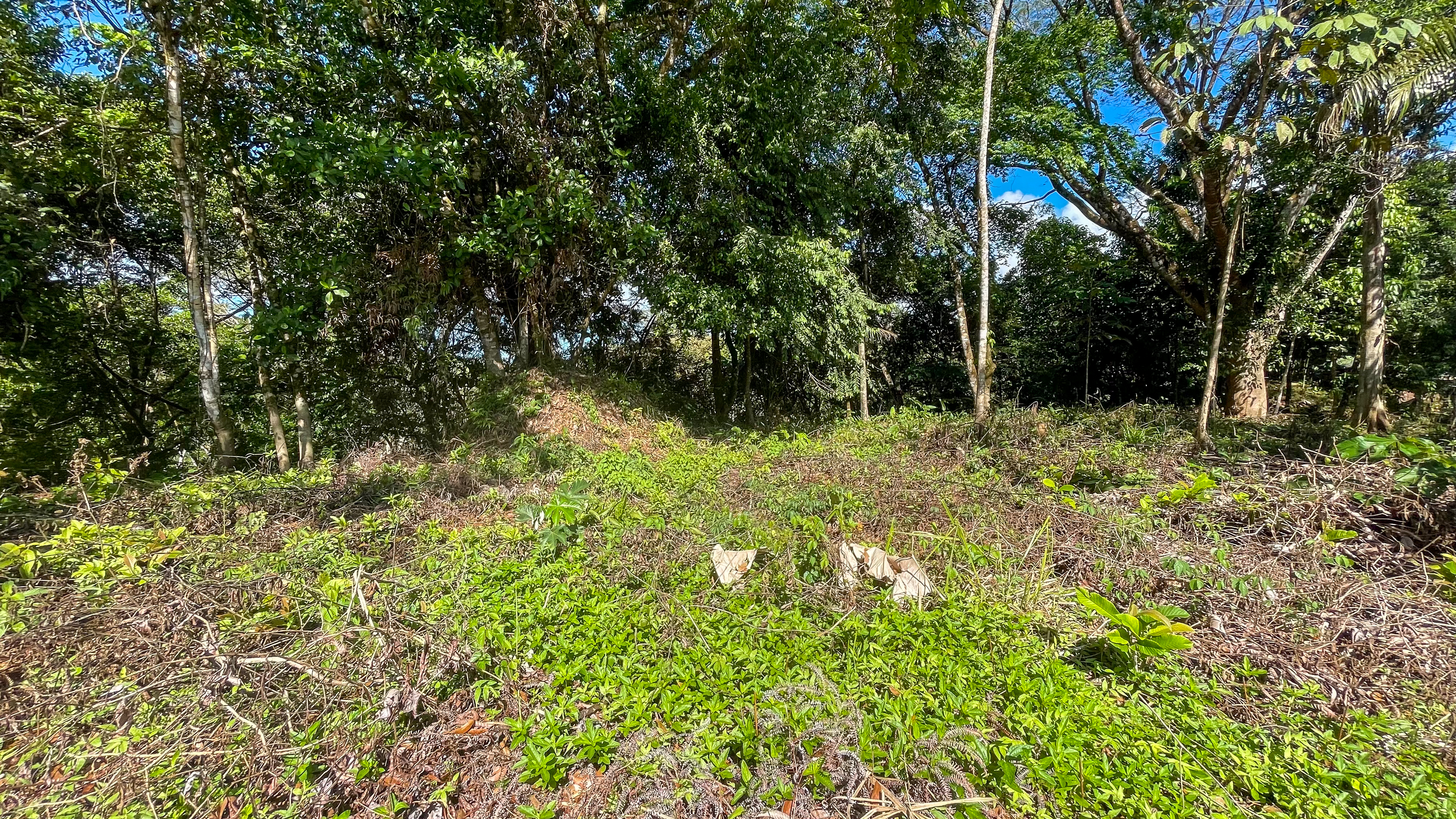 Tucked-Away Jungle Lot at the End of a Quiet Road — Ojochal, Costa Rica selected