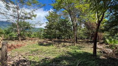 Easy-Access Building lot with Paved Road Access & All Utilities Available on a Flat Half-Acre in Ojochal Costa Rica image 4