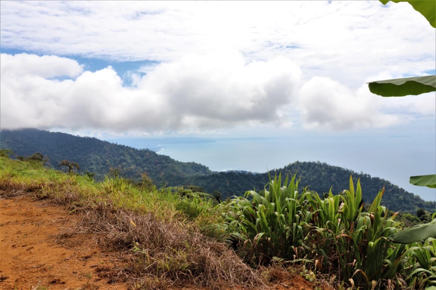 3 Spectacular Ocean View Farms in Uvita selected