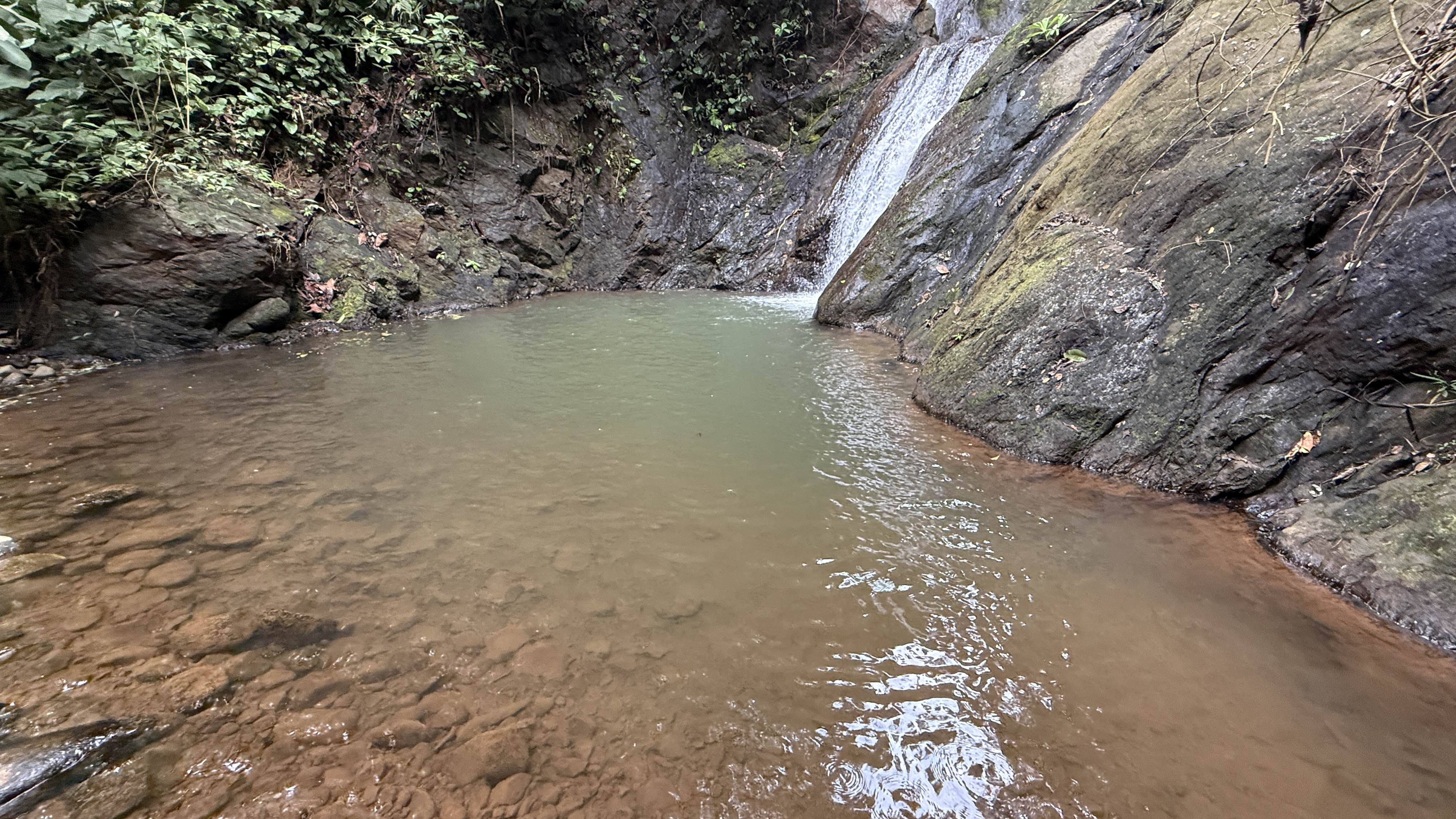 A Living Jungle Sanctuary on the River — 86 Hectares in Sabalo, Costa Rica selected