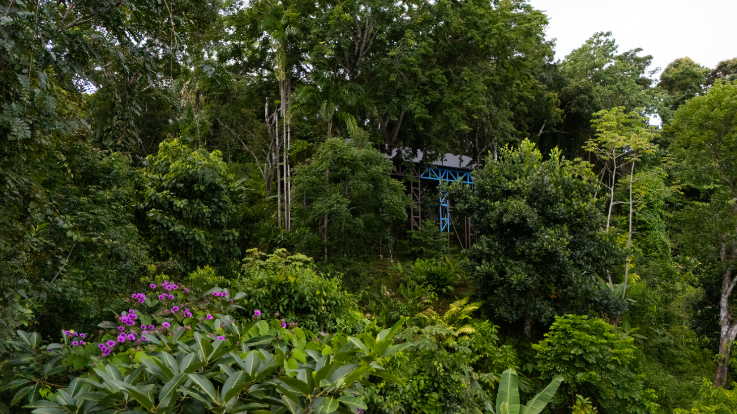 Where the Journey Begins | Private Jungle Estate at Nauyaca Waterfalls selected