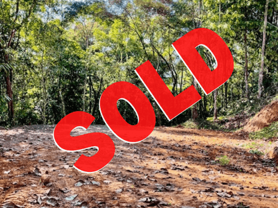 Private Jungle Lot for Sale in Ojochal – Tranquil Location with Easy Access to Amenities image 1