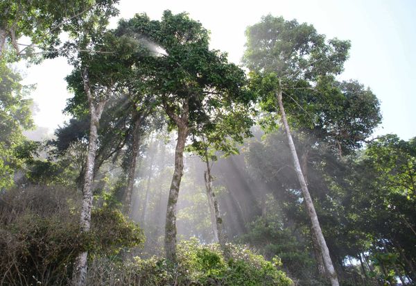 "Green Season" In Costa Rica