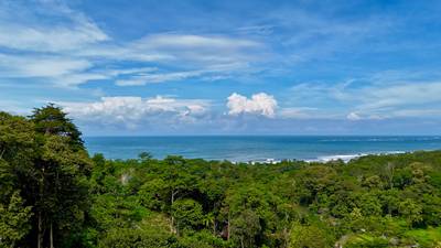 Ocean View Land Within a Few Minutes to Uvita image 1