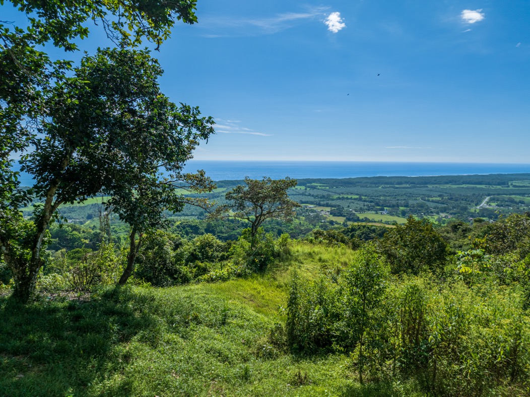 Visionary Ocean-View Estate with Development Potential Near Playa Linda selected