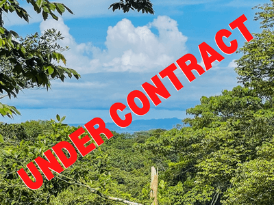 14 Acres of Rainforest Land for Sale in Costa Rica Near Puerto Jiménez– Rare Value Opportunity image 1