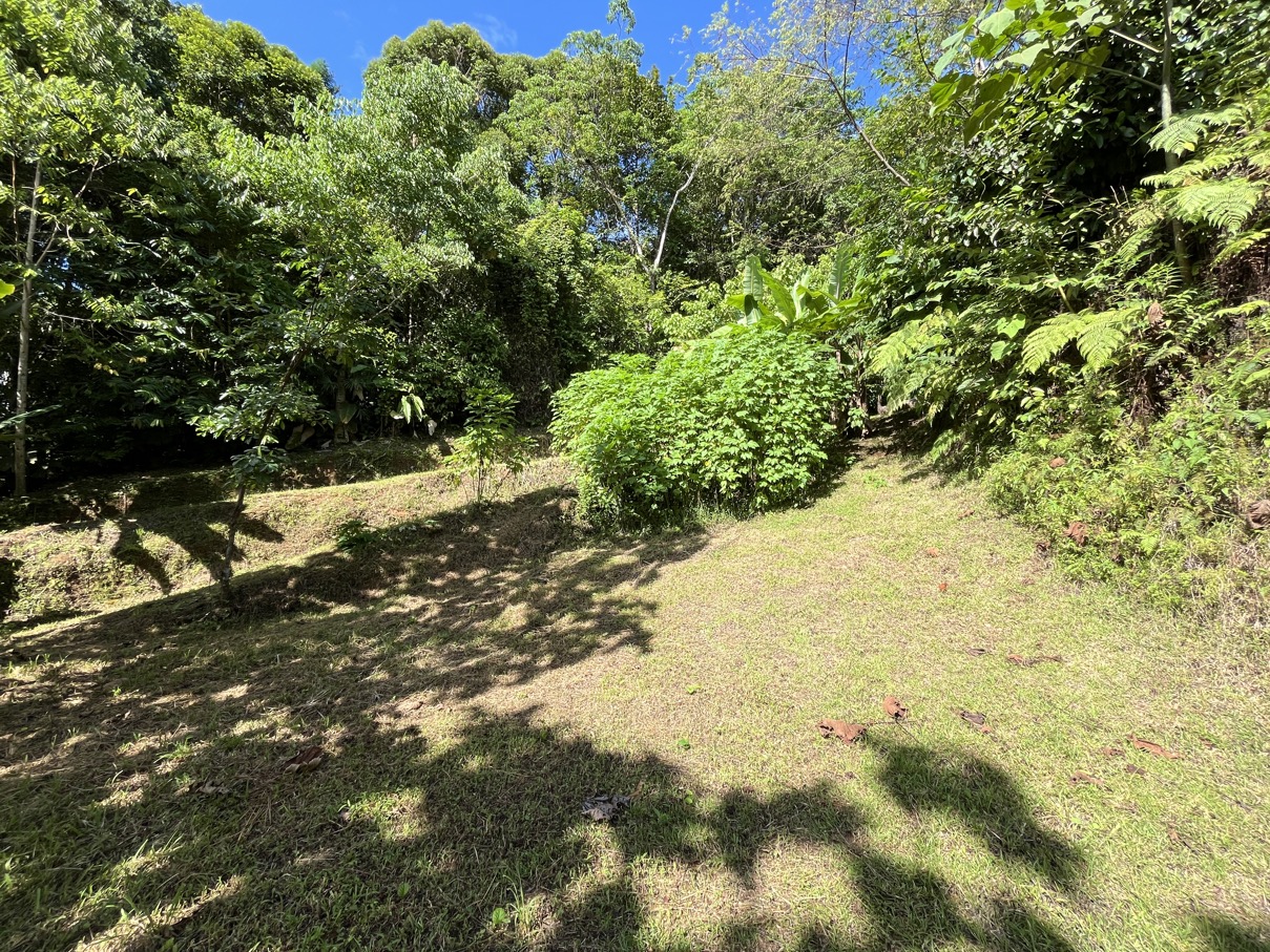 Charming Mountain Retreat in Vergel de Osa – Minutes from Ojochal, Beaches, and Waterfalls selected