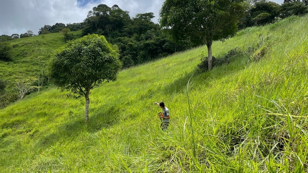145 Acres With Swimming Holes, Waterfalls And Ocean Views selected