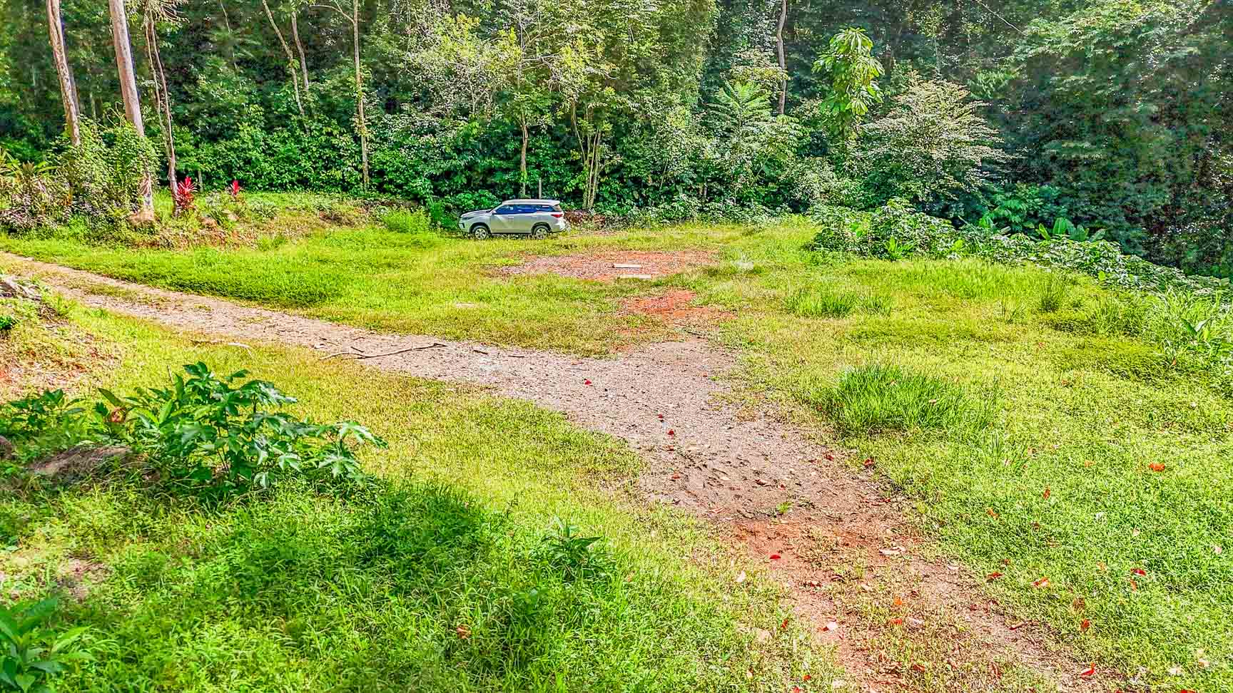 Wonderful Jungle Lot with a Crystal Mountain River Border in Ojochal selected