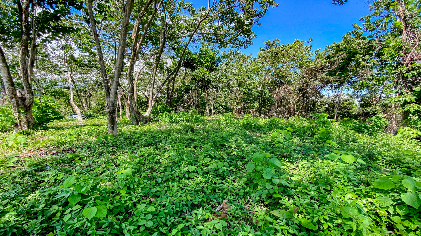 5.75 Acre Land for Sale in Ojochal | Ocean View Development Property selected