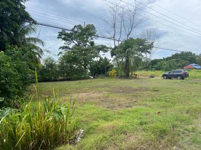 Highway Frontage Coastal Property with Residential & Business Potential image 2