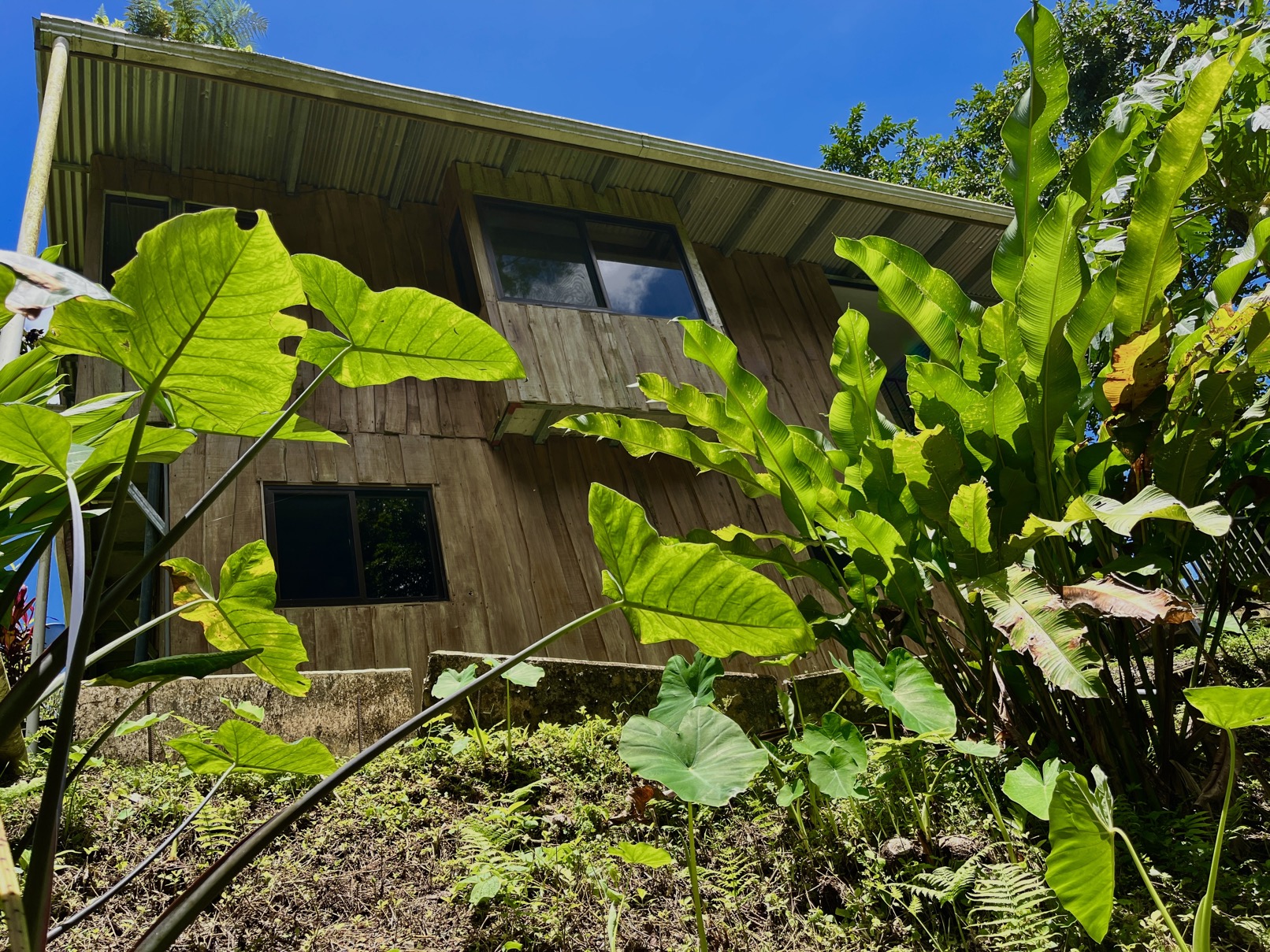 Ocean and Mountain View 3 Bedroom Home in Ojochal selected