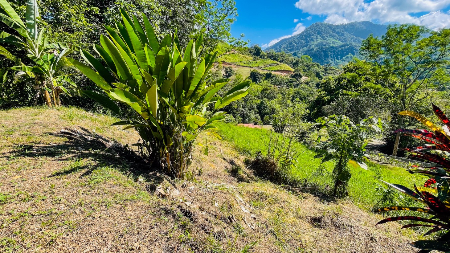 Private Mountain Sanctuary in Costa Rica awaits selected