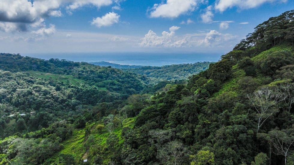 Beautiful 72 Acre Farm In Uvita With Waterfalls And Ocean Views selected