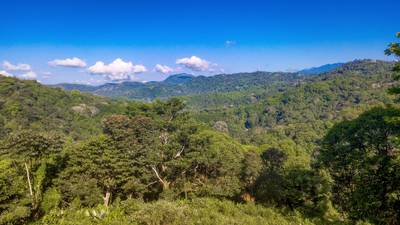 Stunning Mountain & Valley Views in Pura Vida Falls – Prime Property Ready to Build  image 2