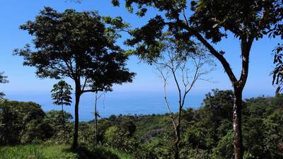 Exclusive 5.80 acres Ocean View Estate Lot in Costa Verde Estates – Escaleras image 2