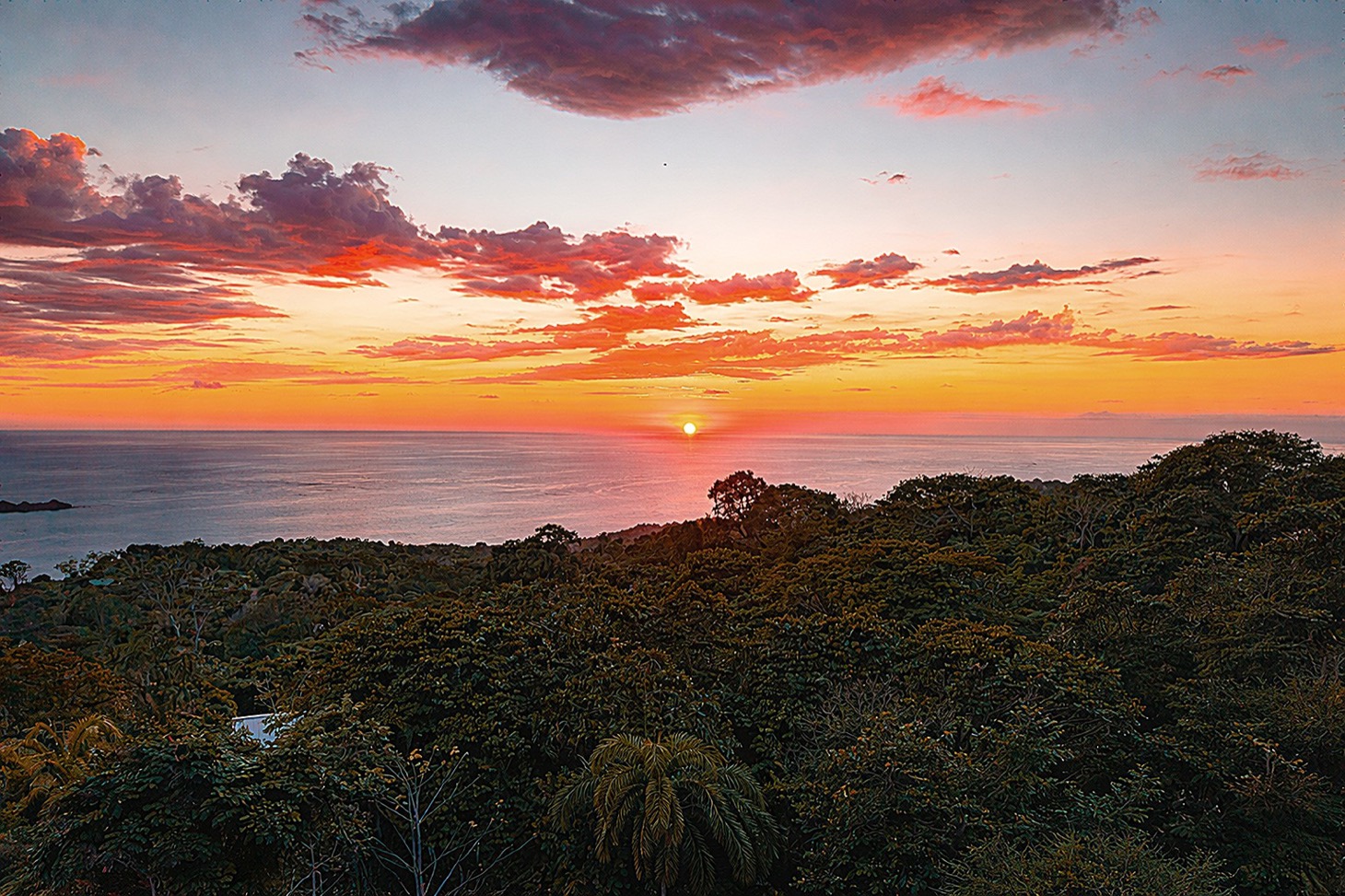 Where the Rainforest Meets the Sea - Ultra-Private Oceanview Luxury Estate selected