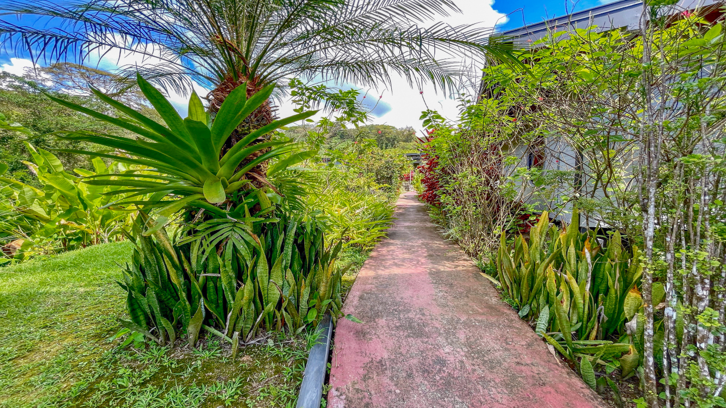 2.24 ACRES – 7 Bedrooms Ocean View Boutique Hotel With Two Pools, 5 Minutes to Uvita, Multiple Rental Options!! selected