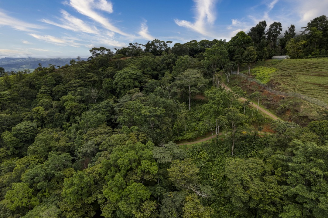 21.3-Acre Waterfall Farm Sanctuary in Costa Rica’s Southern Zone selected