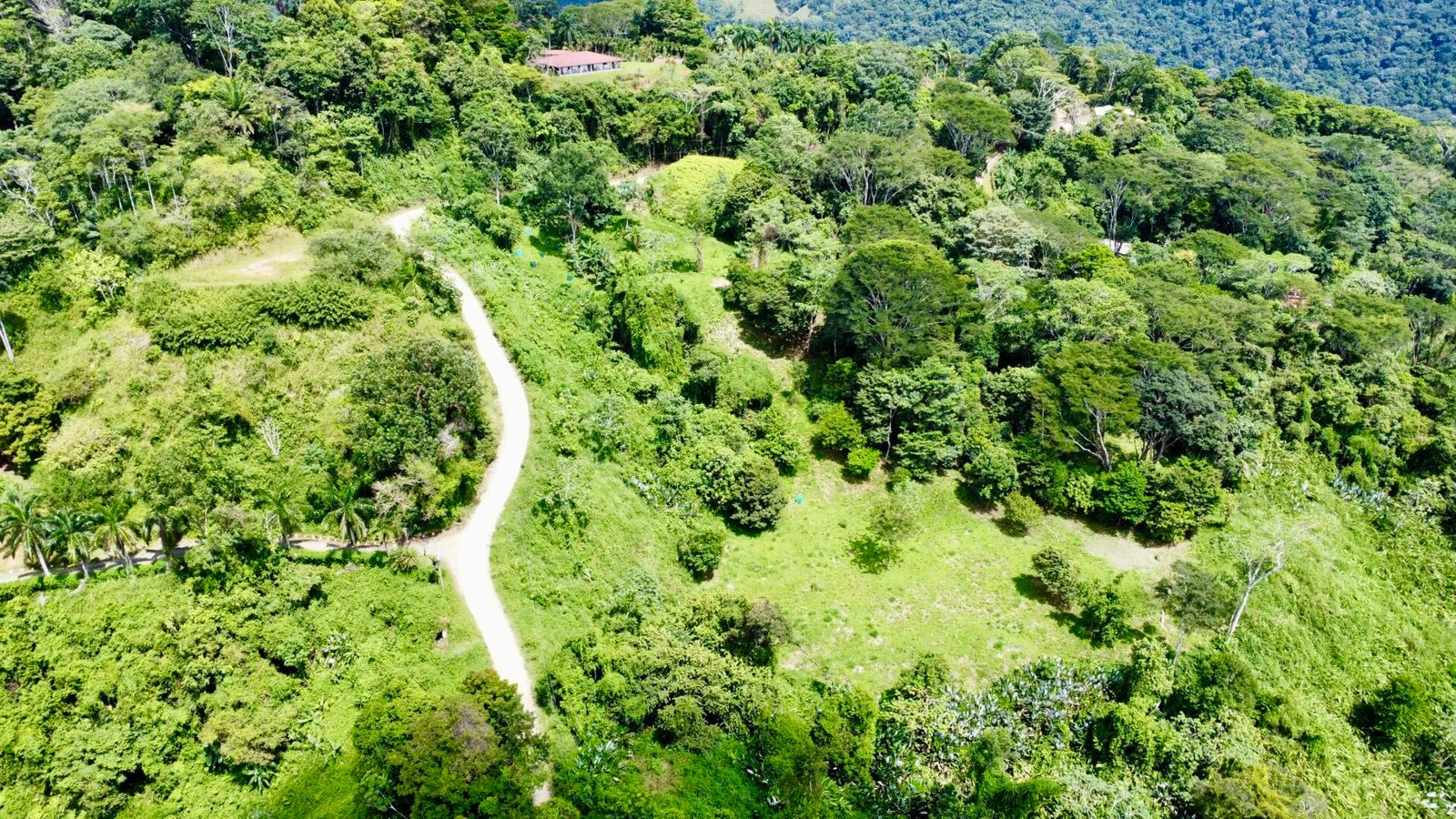 Ocean View Gem with Exceptional Usability near Dominical selected