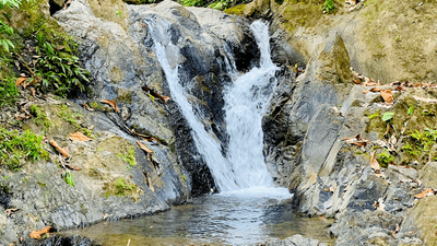 Riverside Jungle House with Waterfall Views in Ojochal, Costa Rica image 2