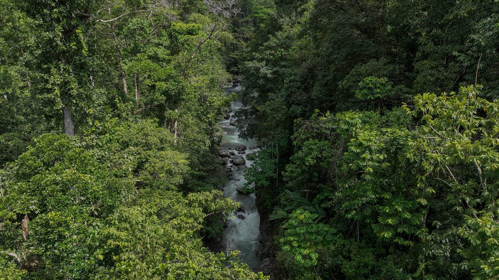 Beautiful 72 Acre Farm In Uvita With Waterfalls And Ocean Views selected